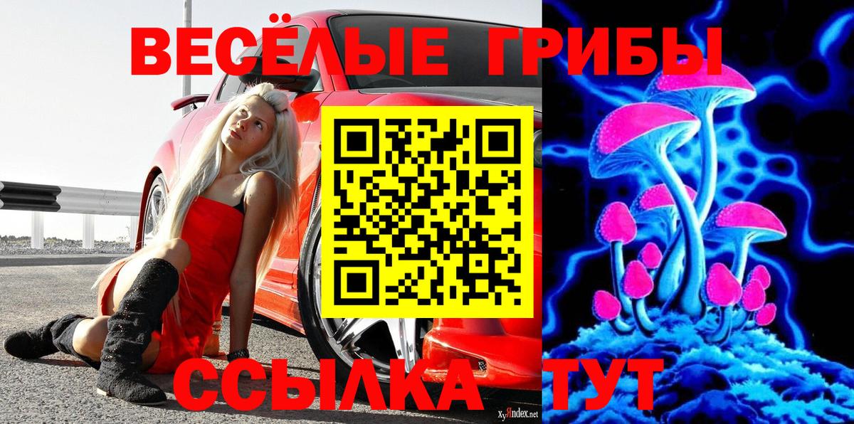 Галлюциногенные грибы Psilocybe Королёв