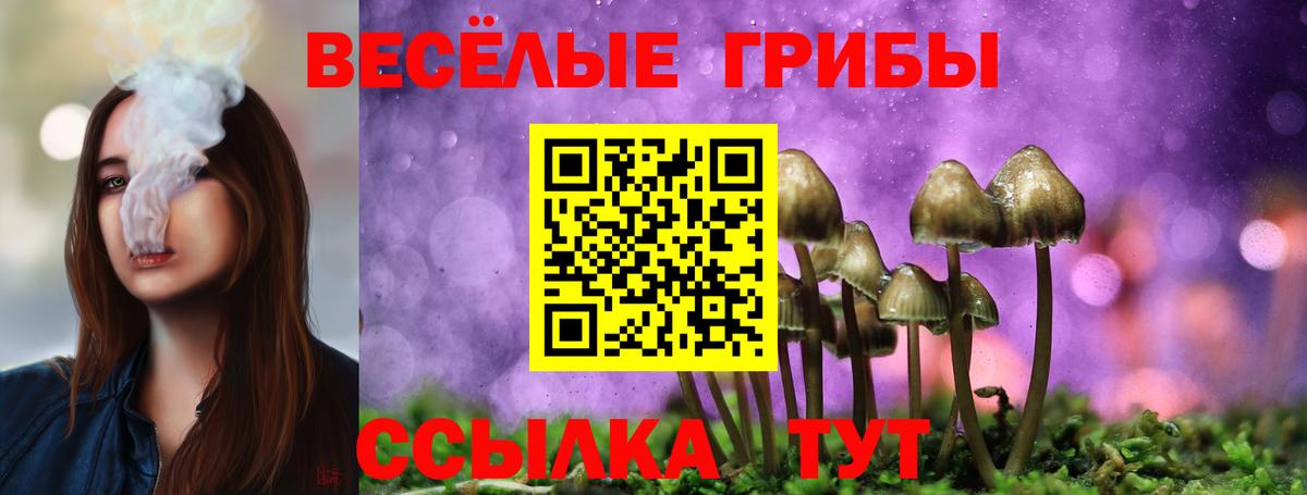что такое   Вход с VPN  Королёв  Псилоцибиновые грибы Magic Shrooms  Псилоцибиновые грибы MAGIC MUSHROOMS 
